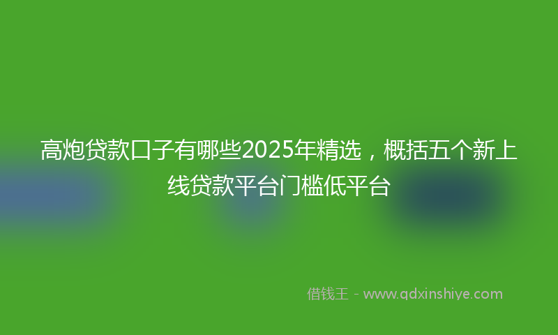 高炮贷款口子有哪些2025年精选，概括五个新上线贷款平台门槛低平台