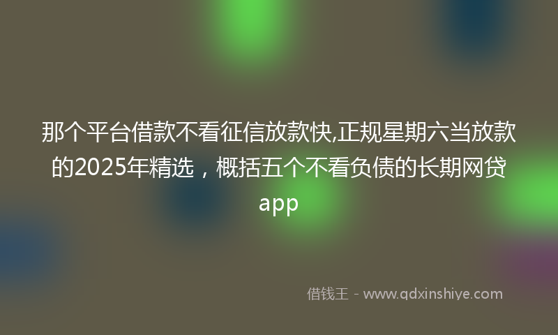 那个平台借款不看征信放款快,正规星期六当放款的2025年精选，概括五个不看负债的长期网贷app