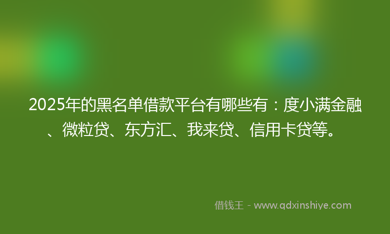 2025年的黑名单借款平台有哪些有：度小满金融、微粒贷、东方汇、我来贷、信用卡贷等。