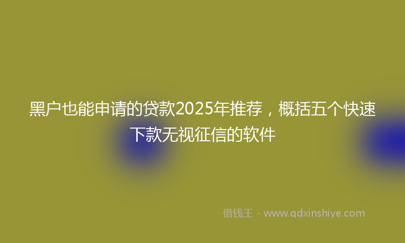 黑户也能申请的贷款2025年推荐，概括五个快速下款无视征信的软件
