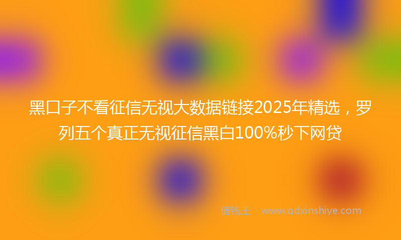 黑口子不看征信无视大数据链接2025年精选，罗列五个真正无视征信黑白100%秒下网贷