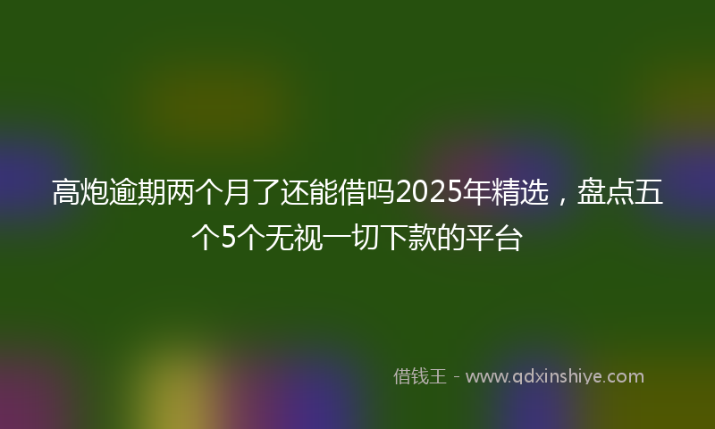 高炮逾期两个月了还能借吗2025年精选，盘点五个5个无视一切下款的平台