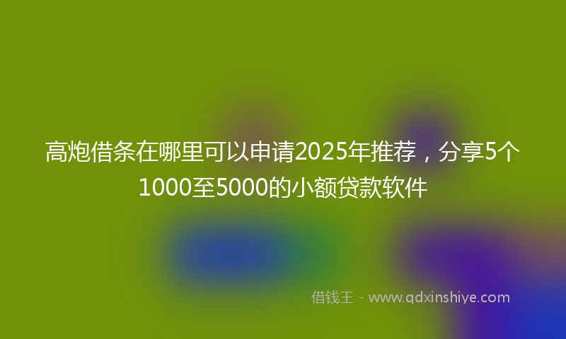 高炮借条在哪里可以申请2025年推荐，分享5个1000至5000的小额贷款软件