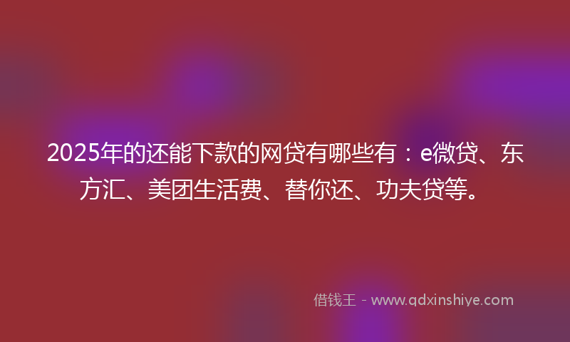 2025年的还能下款的网贷有哪些有：e微贷、东方汇、美团生活费、替你还、功夫贷等。