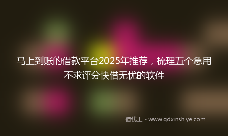 马上到账的借款平台2025年推荐，梳理五个急用不求评分快借无忧的软件