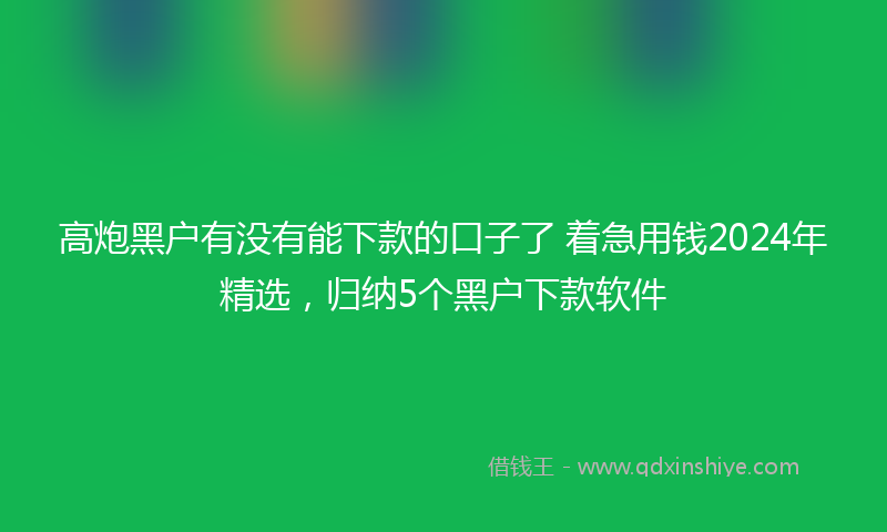 高炮黑户有没有能下款的口子了 着急用钱2024年精选，归纳5个黑户下款软件