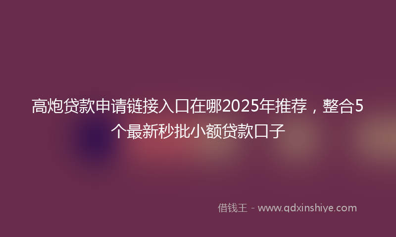 高炮贷款申请链接入口在哪2025年推荐，整合5个最新秒批小额贷款口子