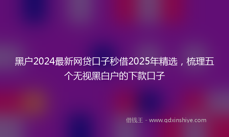 黑户2024最新网贷口子秒借2025年精选，梳理五个无视黑白户的下款口子