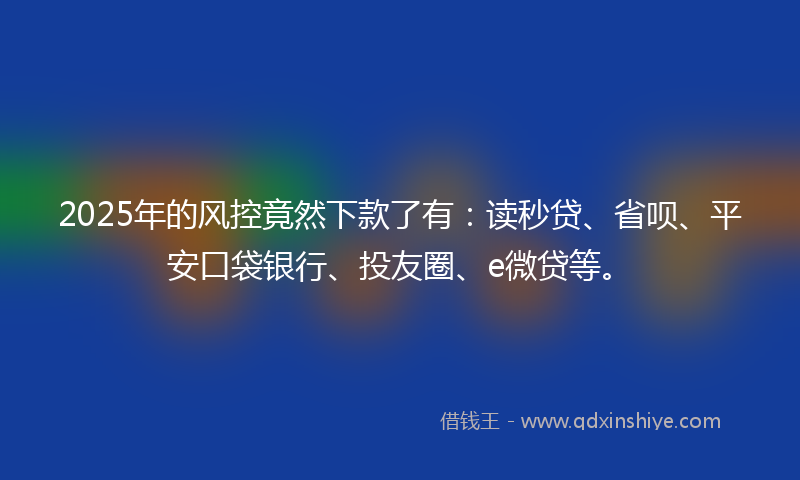 2025年的风控竟然下款了有：读秒贷、省呗、平安口袋银行、投友圈、e微贷等。