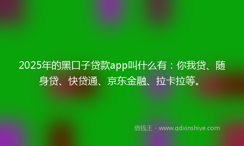 2025年的黑口子贷款app叫什么有：你我贷、随身贷、快贷通、京东金融、拉卡拉等。