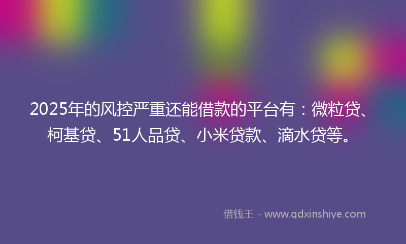2025年的风控严重还能借款的平台有：微粒贷、柯基贷、51人品贷、小米贷款、滴水贷等。
