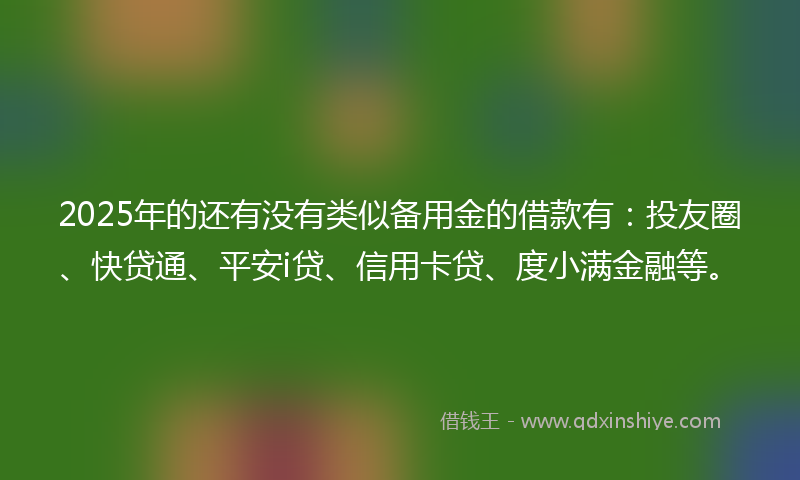 2025年的还有没有类似备用金的借款有：投友圈、快贷通、平安i贷、信用卡贷、度小满金融等。
