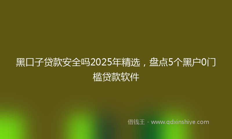 黑口子贷款安全吗2025年精选，盘点5个黑户0门槛贷款软件