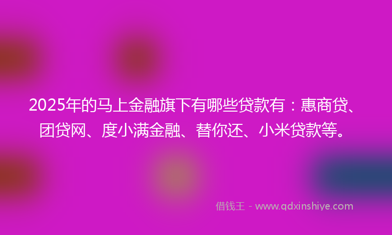 2025年的马上金融旗下有哪些贷款有：惠商贷、团贷网、度小满金融、替你还、小米贷款等。