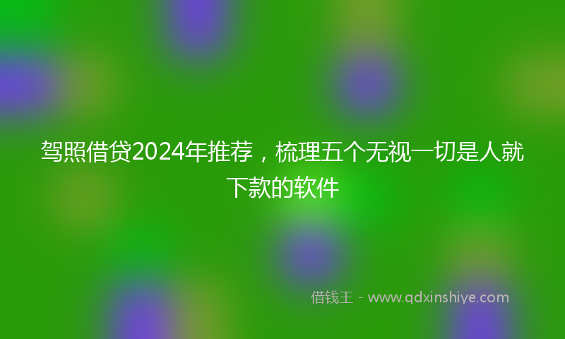 驾照借贷2024年推荐，梳理五个无视一切是人就下款的软件