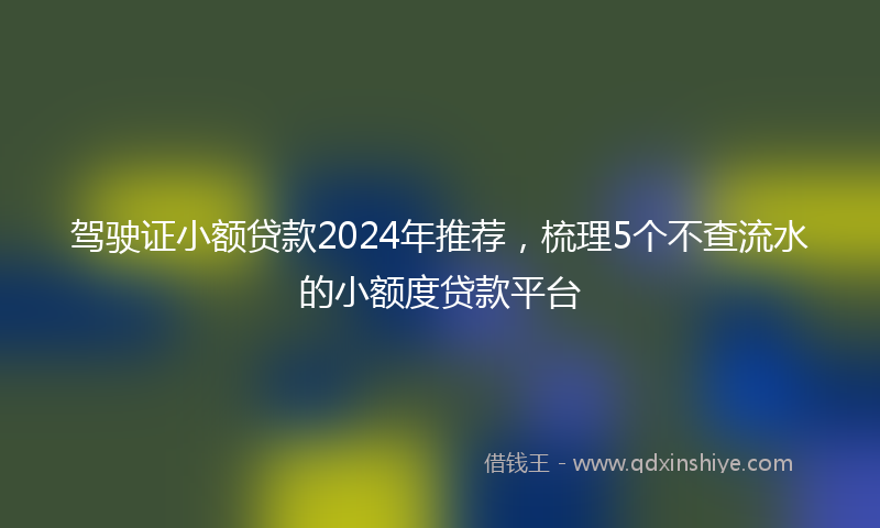 驾驶证小额贷款2024年推荐，梳理5个不查流水的小额度贷款平台