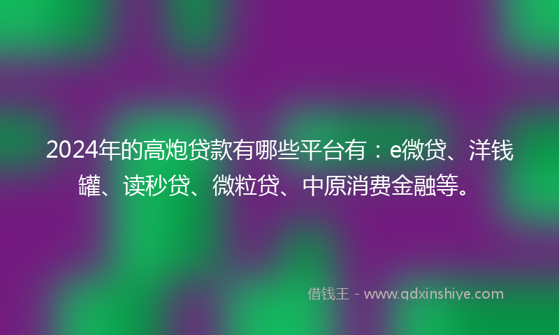 2024年的高炮贷款有哪些平台有：e微贷、洋钱罐、读秒贷、微粒贷、中原消费金融等。