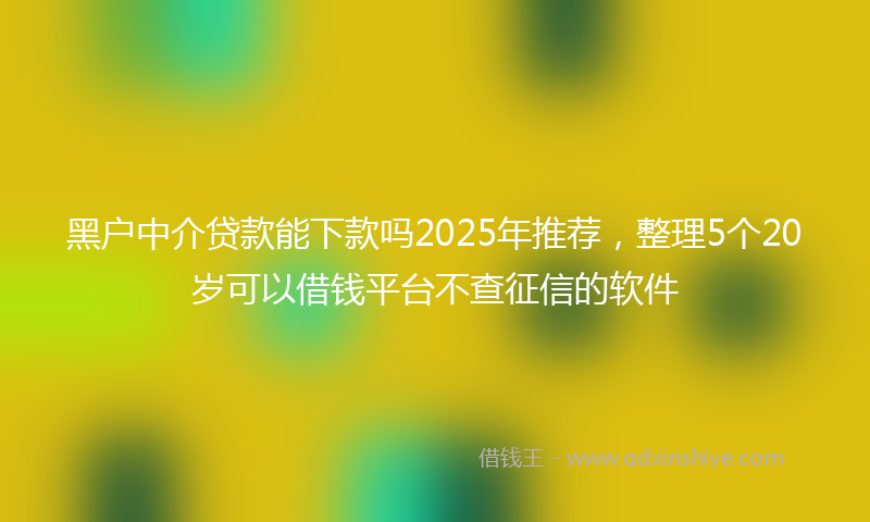 黑户中介贷款能下款吗2025年推荐，整理5个20岁可以借钱平台不查征信的软件
