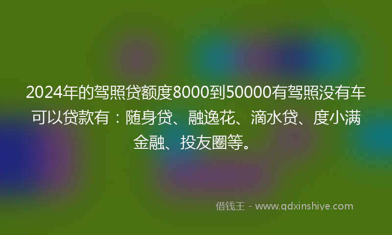 2024年的驾照贷额度8000到50000有驾照没有车可以贷款有：随身贷、融逸花、滴水贷、度小满金融、投友圈等。