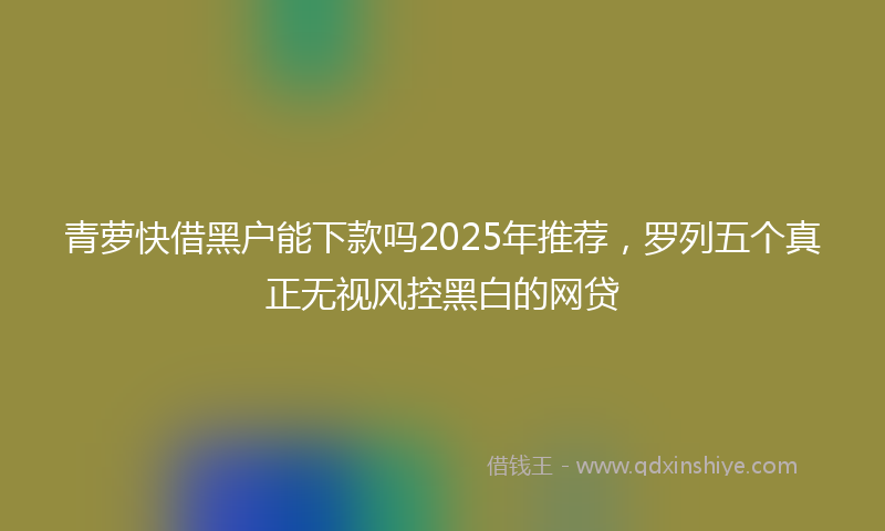 青萝快借黑户能下款吗2025年推荐，罗列五个真正无视风控黑白的网贷