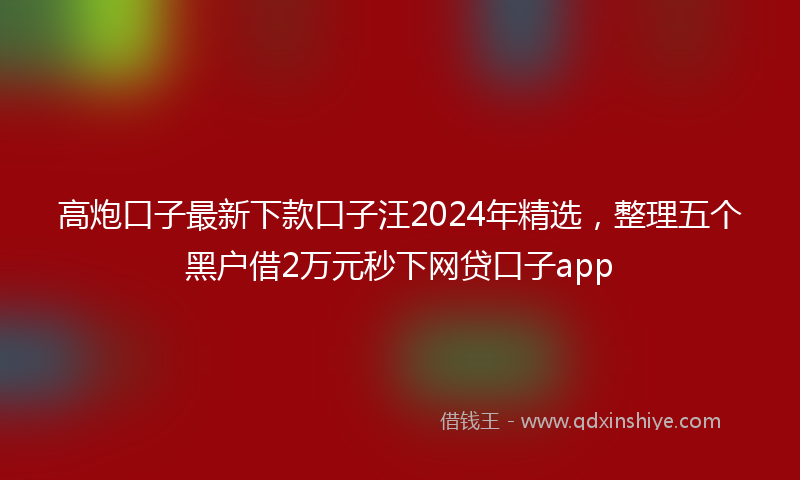 高炮口子最新下款口子汪2024年精选，整理五个黑户借2万元秒下网贷口子app