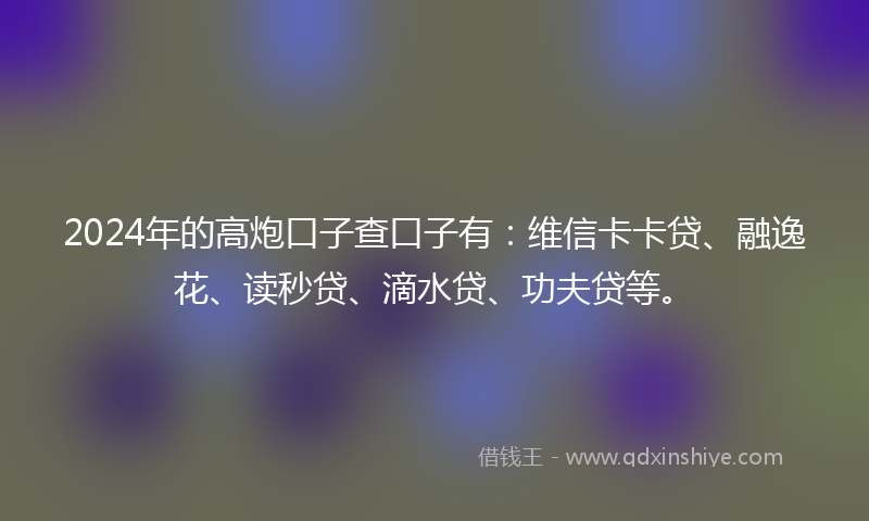 2024年的高炮口子查口子有：维信卡卡贷、融逸花、读秒贷、滴水贷、功夫贷等。