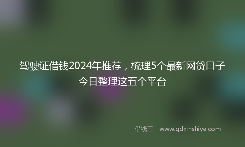 驾驶证借钱2024年推荐，梳理5个最新网贷口子今日整理这五个平台