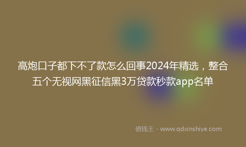 高炮口子都下不了款怎么回事2024年精选，整合五个无视网黑征信黑3万贷款秒款app名单