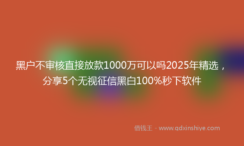 黑户不审核直接放款1000万可以吗2025年精选，分享5个无视征信黑白100%秒下软件