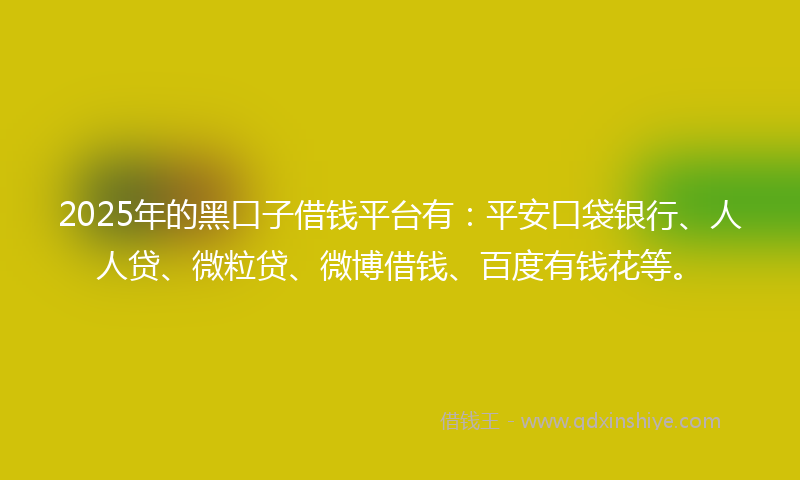2025年的黑口子借钱平台有：平安口袋银行、人人贷、微粒贷、微博借钱、百度有钱花等。