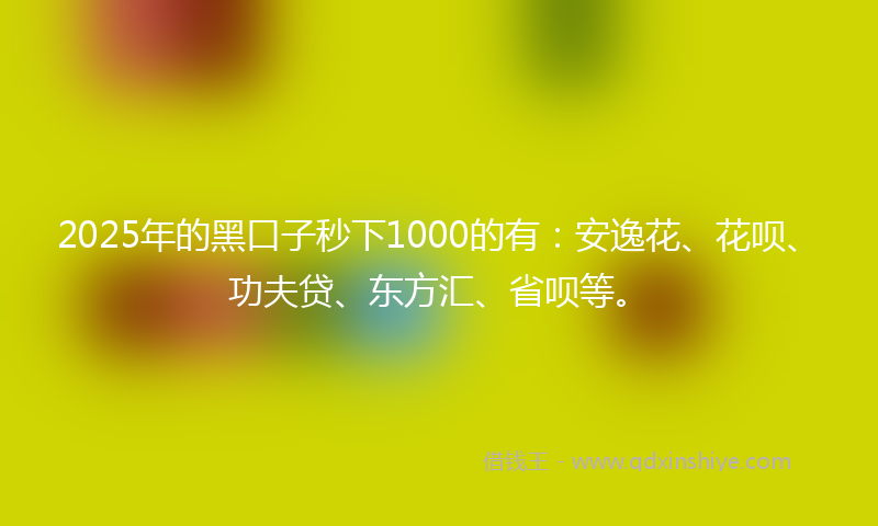 2025年的黑口子秒下1000的有：安逸花、花呗、功夫贷、东方汇、省呗等。