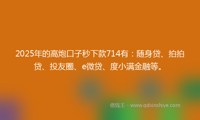 2025年的高炮口子秒下款714有：随身贷、拍拍贷、投友圈、e微贷、度小满金融等。