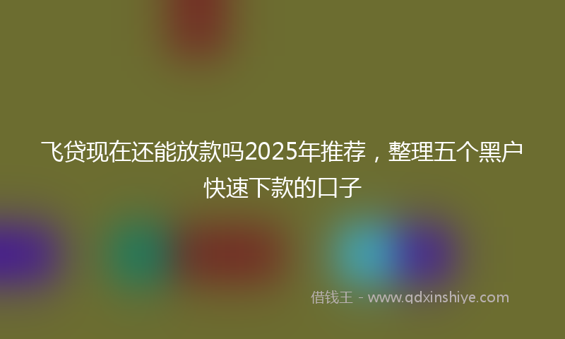 飞贷现在还能放款吗2025年推荐，整理五个黑户快速下款的口子