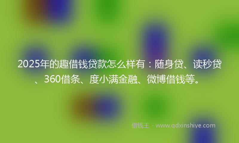 2025年的趣借钱贷款怎么样有：随身贷、读秒贷、360借条、度小满金融、微博借钱等。