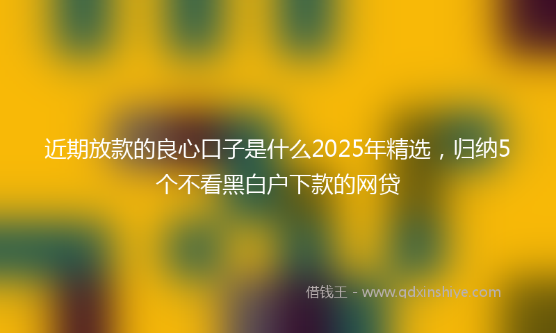 近期放款的良心口子是什么2025年精选，归纳5个不看黑白户下款的网贷