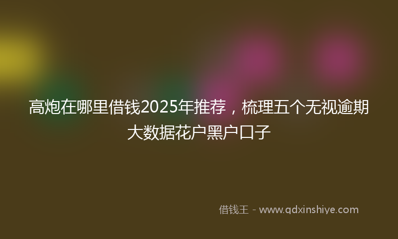 高炮在哪里借钱2025年推荐，梳理五个无视逾期大数据花户黑户口子