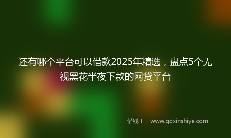 还有哪个平台可以借款2025年精选，盘点5个无视黑花半夜下款的网贷平台