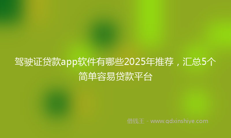 驾驶证贷款app软件有哪些2025年推荐，汇总5个简单容易贷款平台