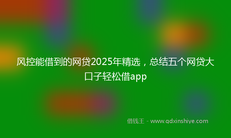 风控能借到的网贷2025年精选，总结五个网贷大口子轻松借app