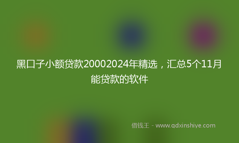 黑口子小额贷款20002024年精选，汇总5个11月能贷款的软件