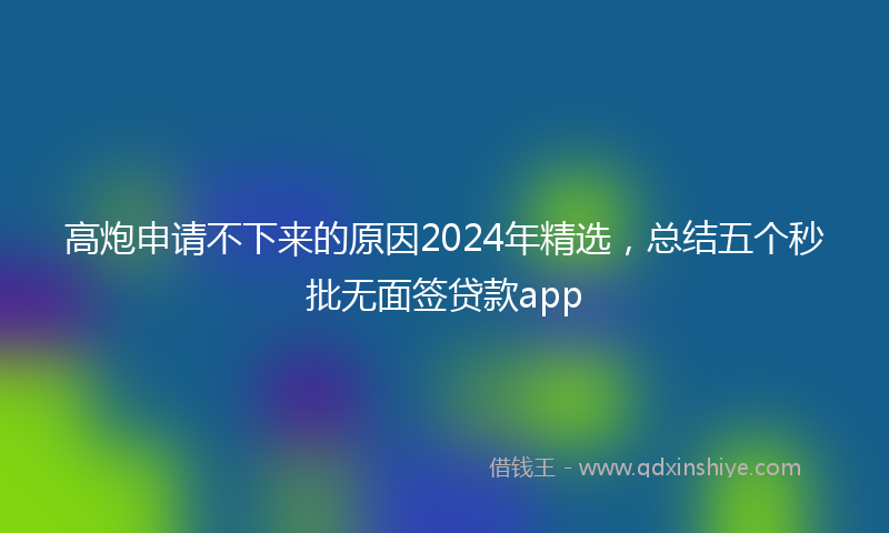 高炮申请不下来的原因2024年精选，总结五个秒批无面签贷款app