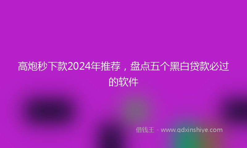 高炮秒下款2024年推荐，盘点五个黑白贷款必过的软件