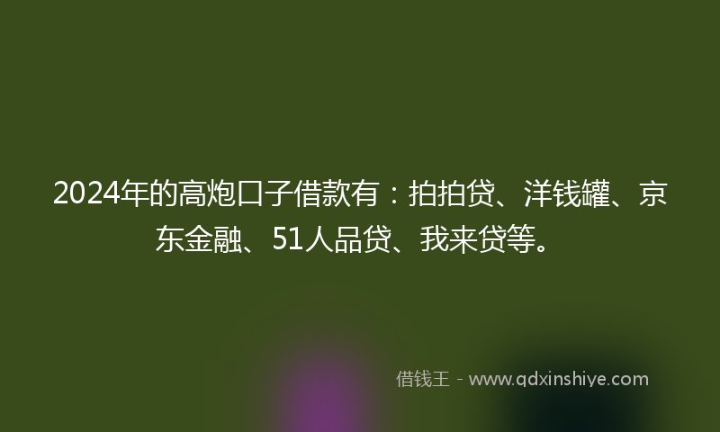 2024年的高炮口子借款有：拍拍贷、洋钱罐、京东金融、51人品贷、我来贷等。