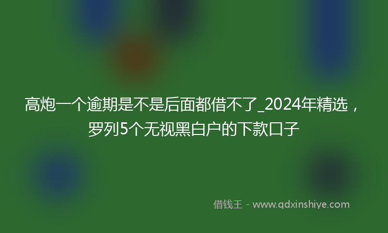 高炮一个逾期是不是后面都借不了_2024年精选，罗列5个无视黑白户的下款口子