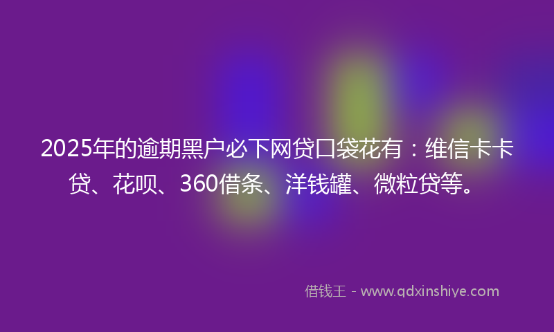 2025年的逾期黑户必下网贷口袋花有：维信卡卡贷、花呗、360借条、洋钱罐、微粒贷等。