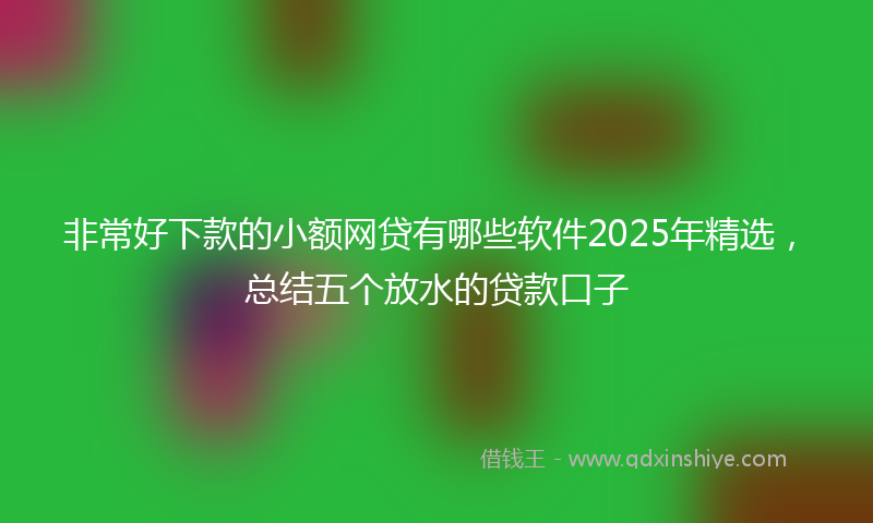 非常好下款的小额网贷有哪些软件2025年精选，总结五个放水的贷款口子
