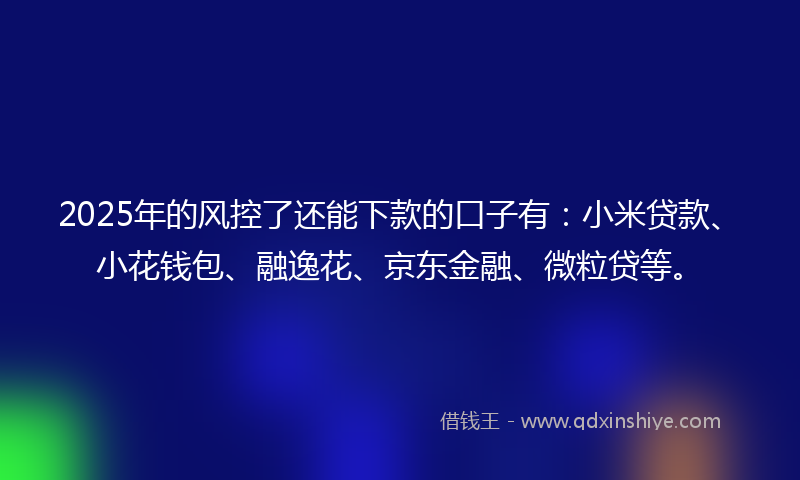 2025年的风控了还能下款的口子有：小米贷款、小花钱包、融逸花、京东金融、微粒贷等。