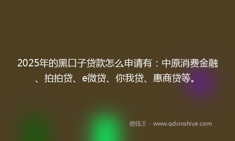 2025年的黑口子贷款怎么申请有:中原消费金融、拍拍贷、e微贷、你我贷、惠商贷等。