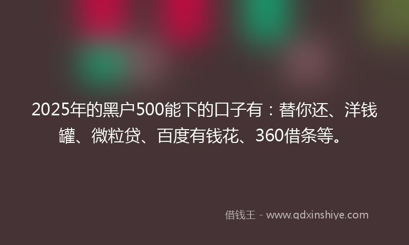 2025年的黑户500能下的口子有：替你还、洋钱罐、微粒贷、百度有钱花、360借条等。
