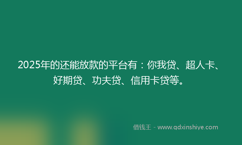 2025年的还能放款的平台有：你我贷、超人卡、好期贷、功夫贷、信用卡贷等。